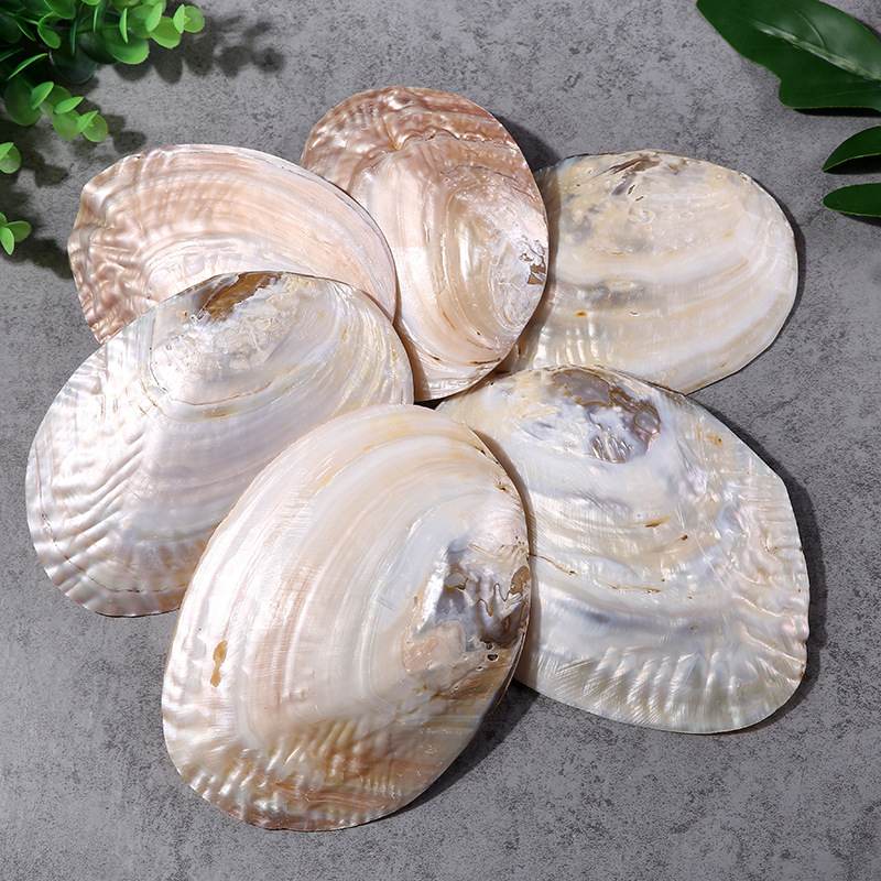 Shell Pearl Gushels качели на отдел