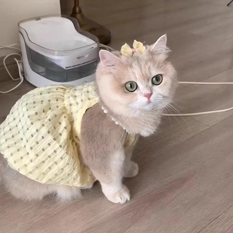 Летняя одежда для кошек, маленькая юбка, нелиняющая, милая, с золотым градиентом, кукольный котенок, британская короткая летняя юбка на подтяжках