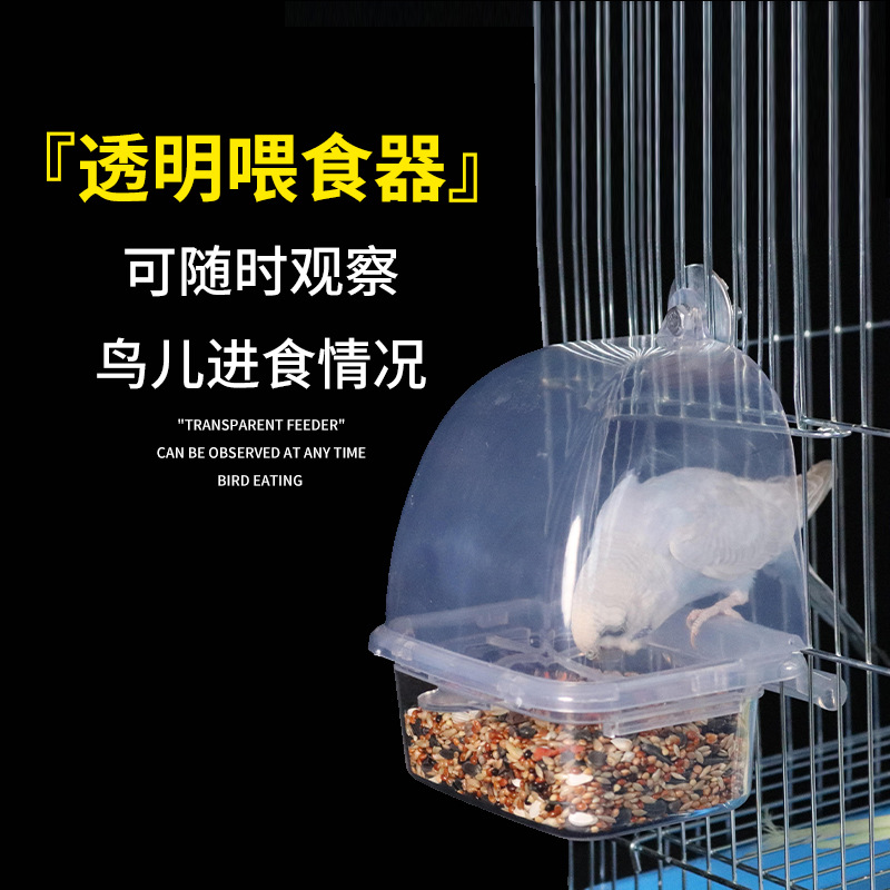 Автоматическая фидерная питатель Parrot Bird автоматически опускает заглушку -заглушку -в анти -скрещенной пищевой коробке.