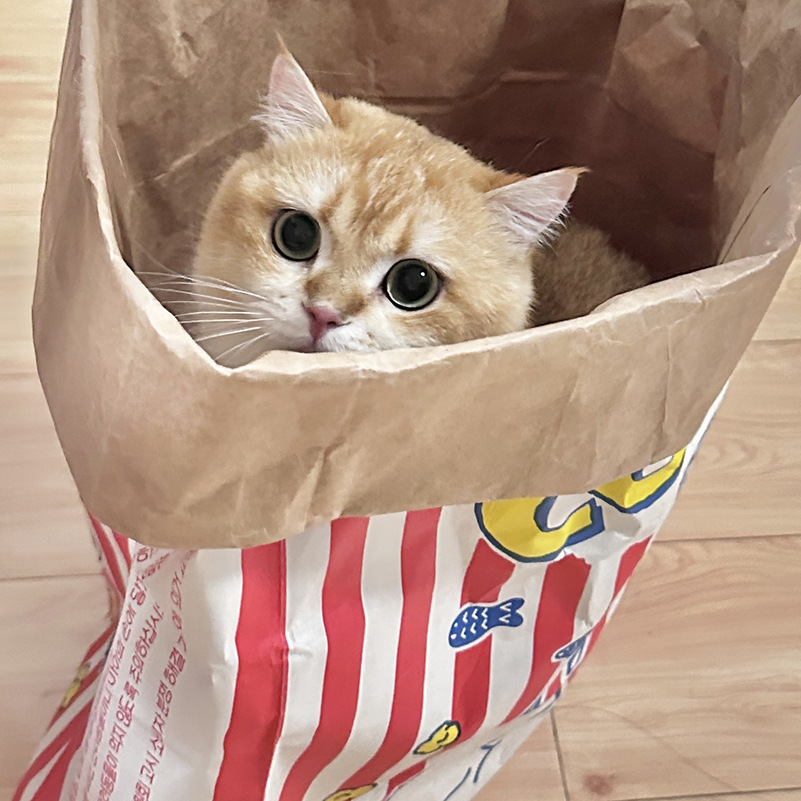 Кожаная деревянная милая игрушка на все сезоны, кот