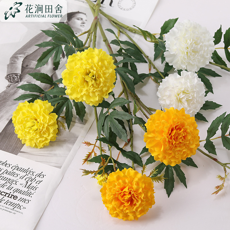 Симуляция цветок Wanshouju Dali Flower Home Mabrish