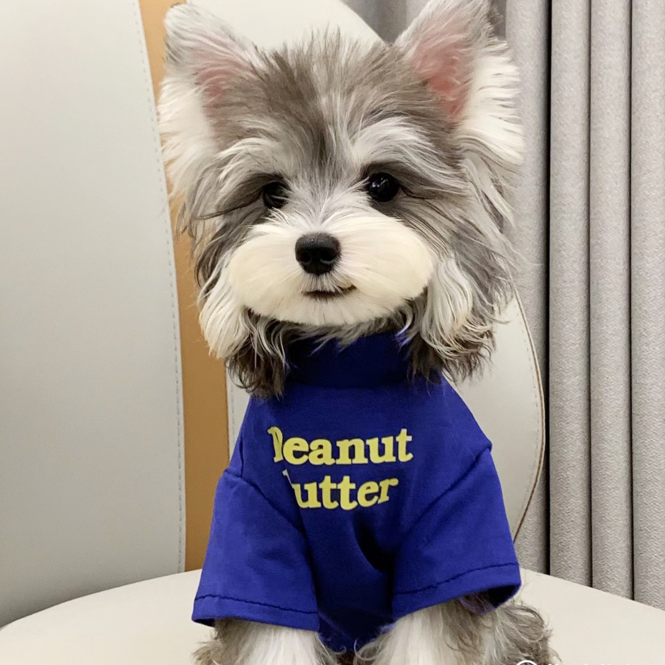 (Оптовые продажи), летний тонкий милый шнурок-держатель, удерживающая тепло футболка