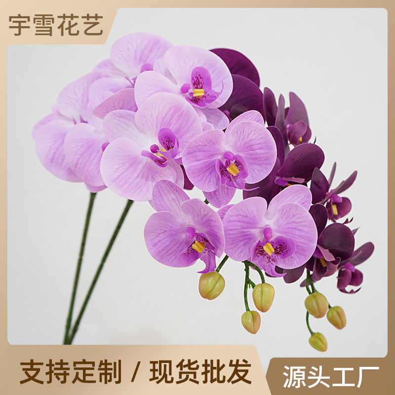 Высококачественное симуляционное ощущение цветочного цвета, Phalaenopsis Дома