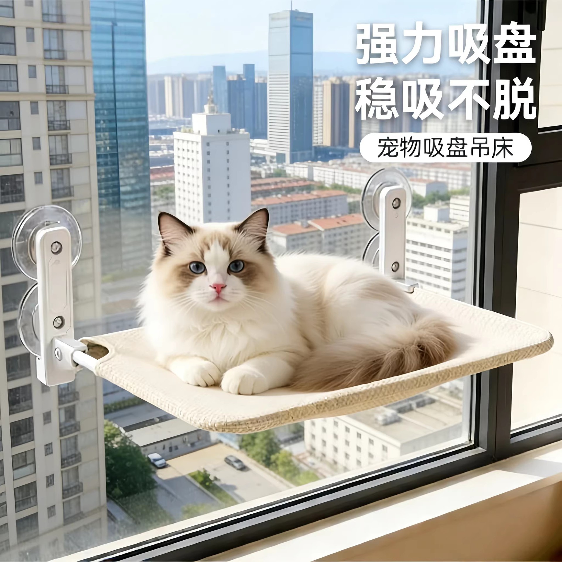 Кошка висящая кошачья кошачья кошка окна для боди на бодря