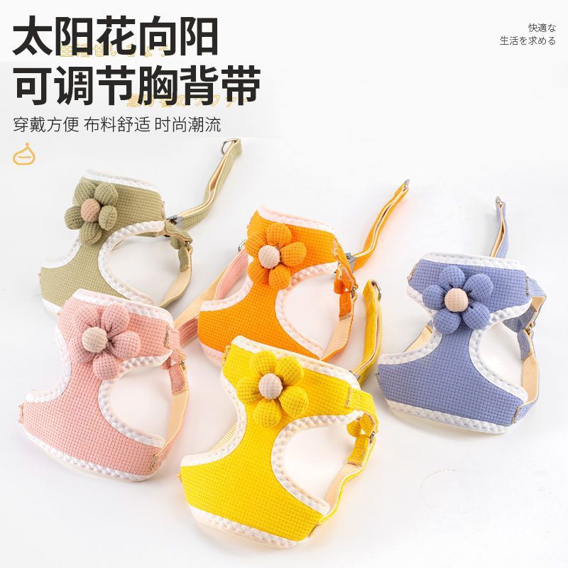 Секрет для собак поводки для сундука Bichon Bichon Bear Teddy Dog Liqu