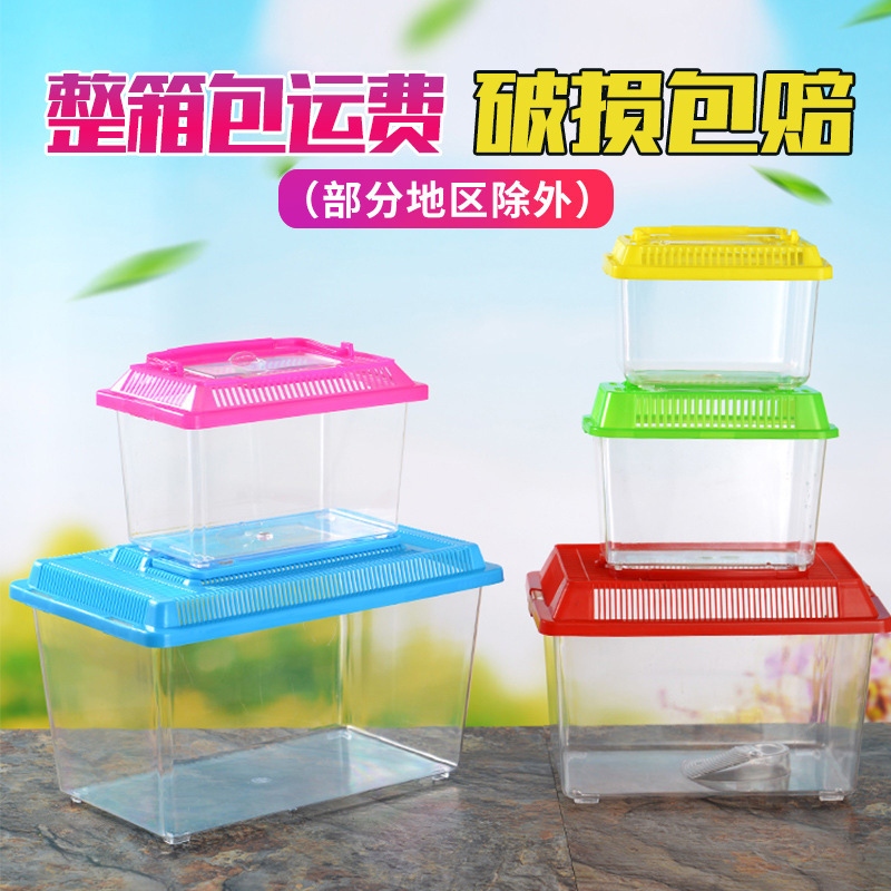 Маленький портативный прозрачный пластиковый аквариум, домашний питомец