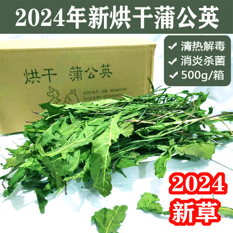 2026 500g