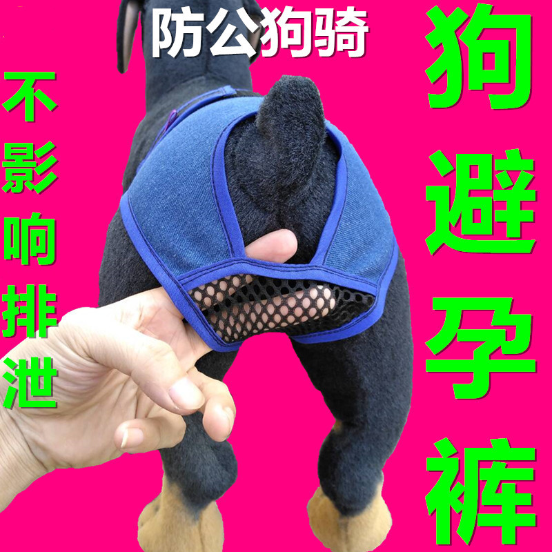 Pet сука физиологические штаны Женщина -собака мужская менструальная период золотые волосы собака Тедди маленькая собака