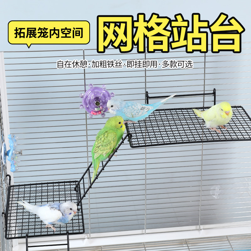 Веб-сайт Parrot Station Interactive Platform Station Stand Stand Platform Платформа Платы