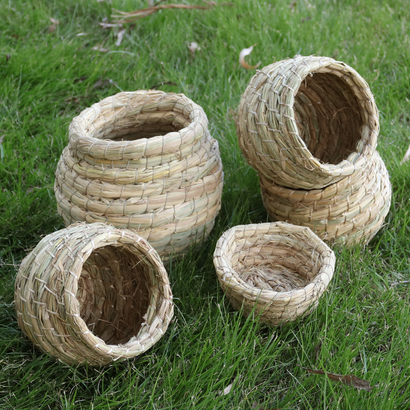 Птичье гнездо Cao ni tiger pagas nest Кокосовое гнездо кокосовое гнездо птичье гнезда
