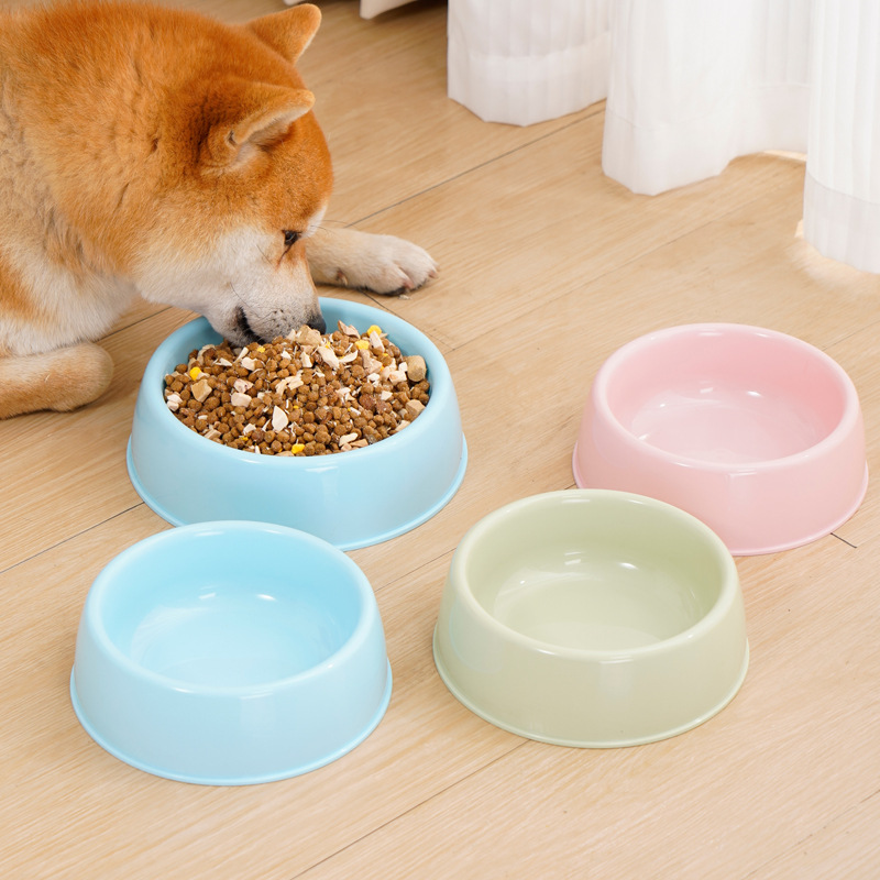 Spot Wholesale Macaron Color Round Pet Bowl Экономика -подобно маленькому и среднесрочному кормушковому пищевой кухни, кошачья рисовая чаша для рисовой миски