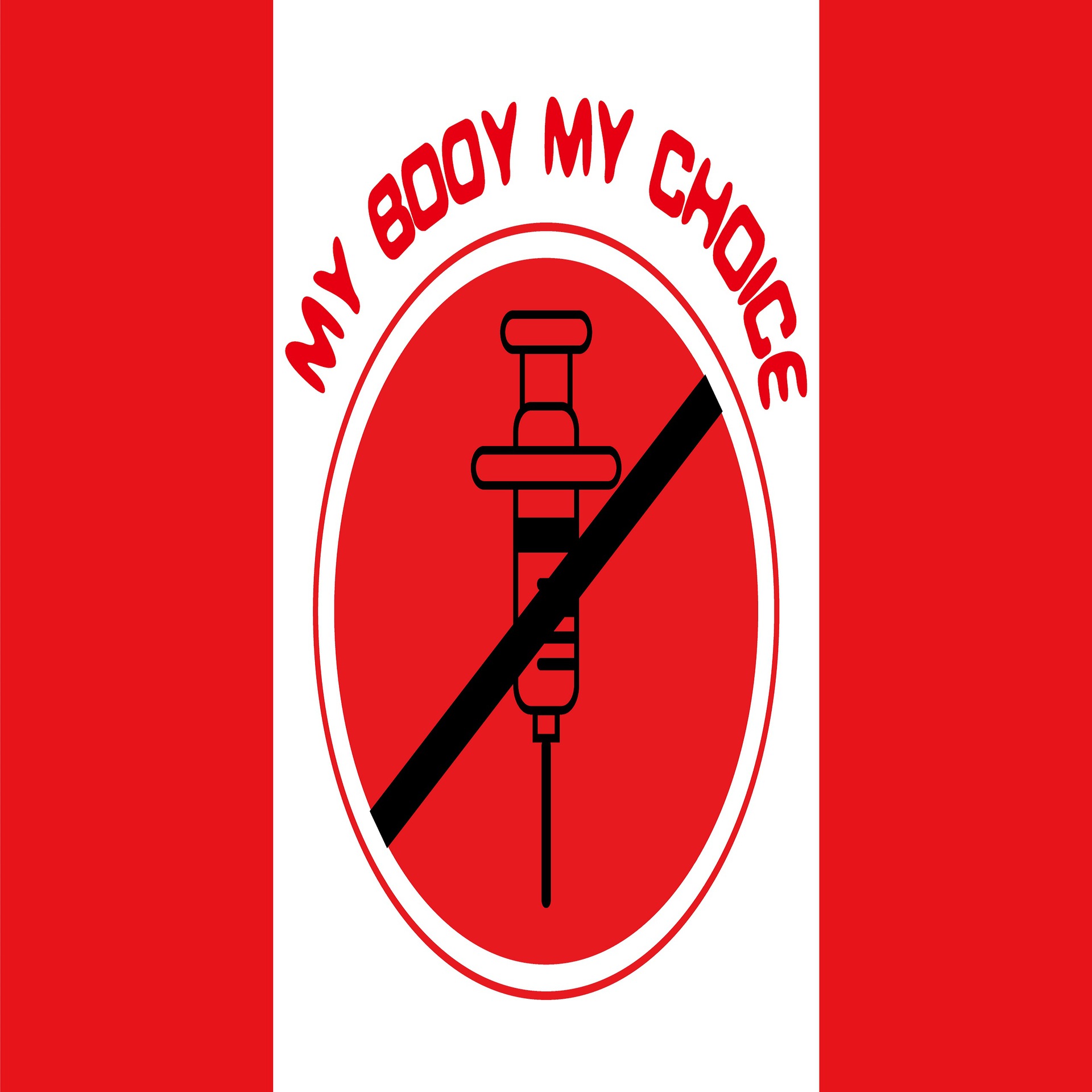 Производитель Direct Supply 3x5ft Digital India Canadian Syzre Flag Anti-Vaccine Protte Flag